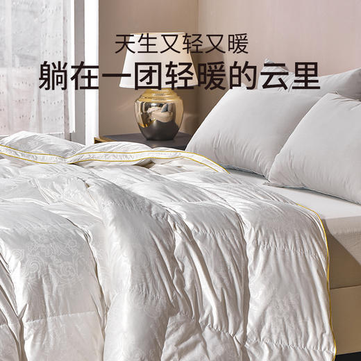 雅芳婷95白鹅绒冬被轻盈保暖透气羽绒被抑菌防螨冬季被芯床上用品 商品图2