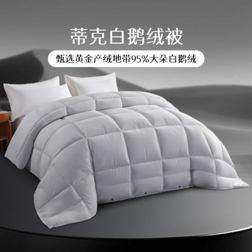 雅芳婷蒂克白鹅绒被蓄热保暖冬季被子被芯鹅绒冬被分区锁温羽绒被 商品图0