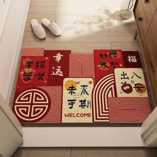 入户门地垫 商品图4