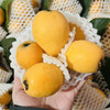 五角星枇杷 1件/12串约5斤  圆润清香 商品缩略图3