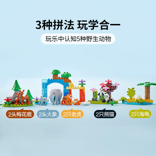 乐高 LEGO 三合一野生动物集合LEGC10446 商品图4