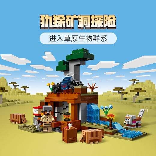 乐高 LEGO 犰狳矿洞探险LEGC21269 商品图1