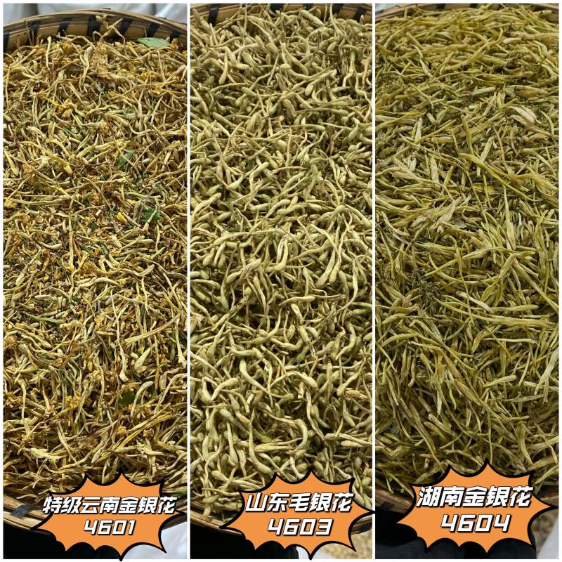金银花 云南山银花金银花 新货  山东毛银花各个规格