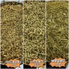 金银花 云南山银花金银花 新货  山东毛银花各个规格 商品缩略图0