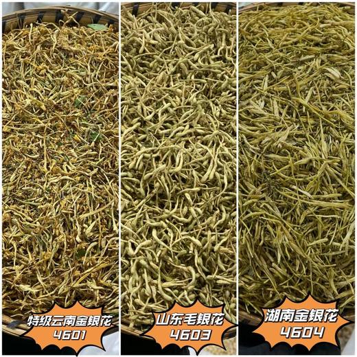 金银花 云南山银花金银花 新货  山东毛银花各个规格 商品图0