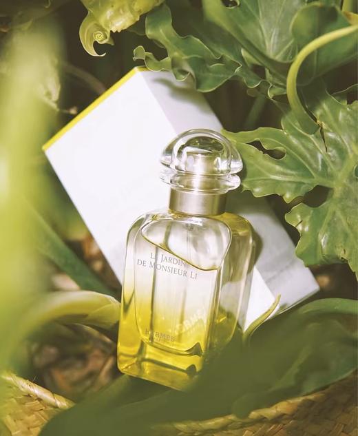 海免版越南原香爱马李先生花园治愈宁静致远 商品图3