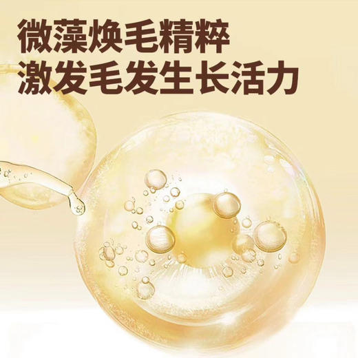 伯纳天纯低温烘焙猫粮全价鲜肉美毛全价猫粮微藻焕肤鸡肉三文鱼2kg 商品图2