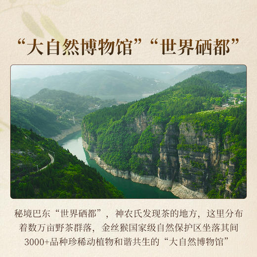 正山堂巴东红 木莲花礼盒装 特级正宗湖北恩施红茶茶叶送礼长辈170g 商品图5