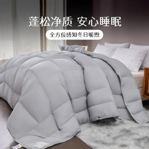 雅芳婷蒂克白鹅绒被蓄热保暖冬季被子被芯鹅绒冬被分区锁温羽绒被 商品图1