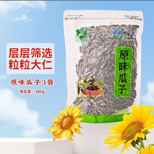 聚创世家原味瓜子-380g 商品图2