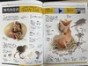 guo家地理动物百科全书（全20册）陪孩子看这套书，胜过去100次动物园 商品缩略图12