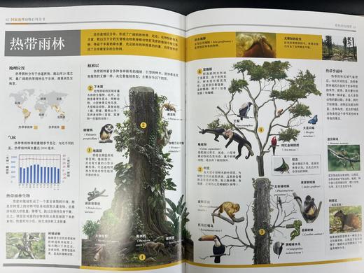 guo家地理动物百科全书（全20册）陪孩子看这套书，胜过去100次动物园 商品图11