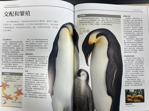 guo家地理动物百科全书（全20册）陪孩子看这套书，胜过去100次动物园 商品图14