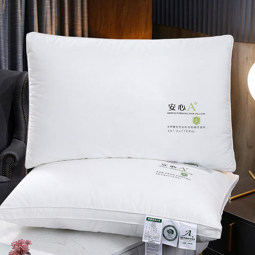 A类抗菌防螨大豆安心枕 商品图1