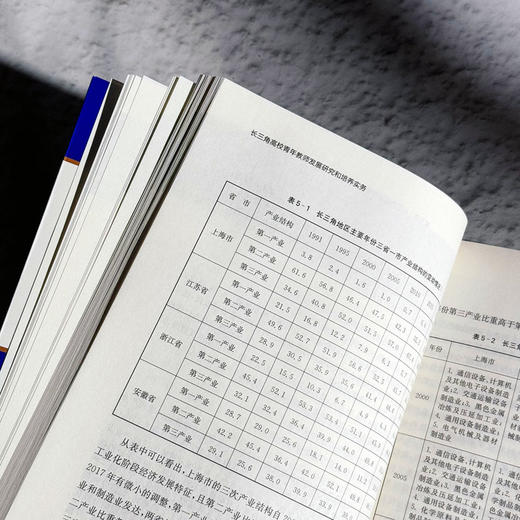 长三角高校青年教师发展研究和培养实务 张斌 高校教师培训 商品图12