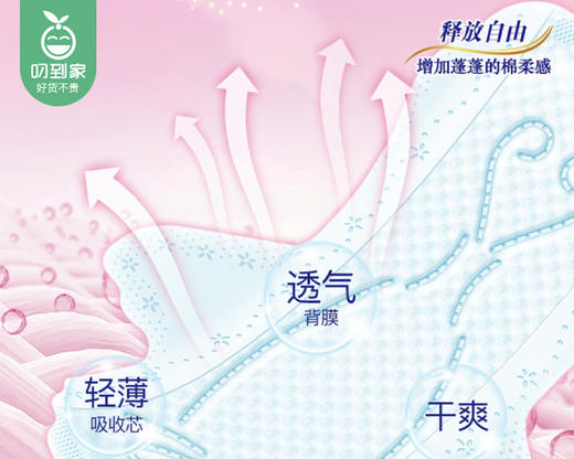 大王·elis爱璐茜光羽奢适棉柔日用卫生巾（250mm）/1份（12片*2包）限用日期：28年5月补单专用 商品图3