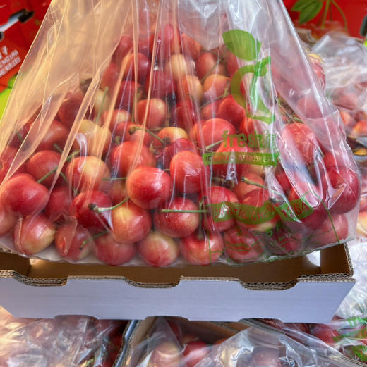 【斯凯拉蕾】高端金车（斯凯拉蕾）金车 黄车 车厘子，颜色红，口感脆甜，肉厚核小，颜值比较高！ 商品图0