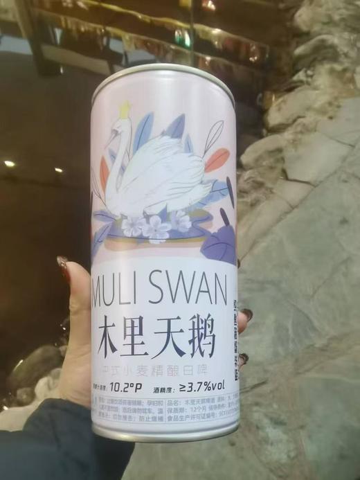 木里天鹅啤酒一箱 商品图2