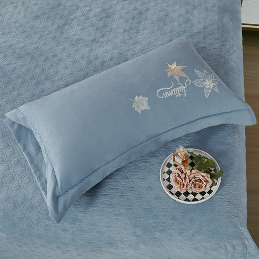 【四季双面可用】双面床盖夹棉四件套 正面锦棉四季用+反面220g宝宝绒秋冬用 商品图3