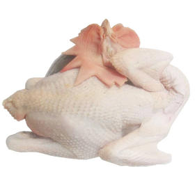 【22元/只】整只公鸡净重约2.8斤（1502653）