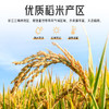 谷风香漫 胚芽鲜米1.8kg 商品缩略图2