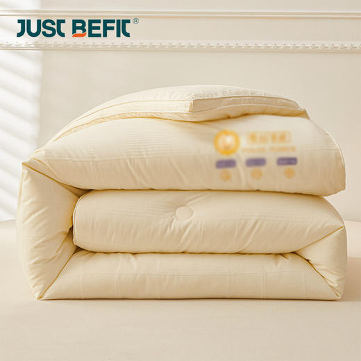 【品牌直发】加倍生活  蚕宝双蛋白养肤被 丝滑蚕丝   提花工艺 压边缝合 四季被冬被 商品图3