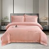 【轻奢高品质】全棉抗菌磨毛刺绣花漾床盖夹棉四件套 商品缩略图7