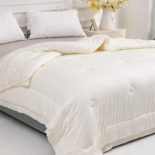 多喜爱 恬梦微醺蚕眠舒柔春秋被/冬被 桑蚕丝被 暖柔搭档蓬松和保暖手感柔软亲肤舒适吸湿透气性好 商品图1