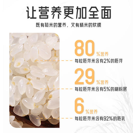 谷风香漫 胚芽鲜米1.8kg 商品图1