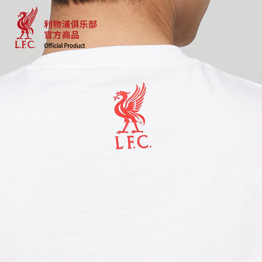 【官方正版】利物浦俱乐部 |2025蛇年简约T恤新年元素球迷短袖 商品图4