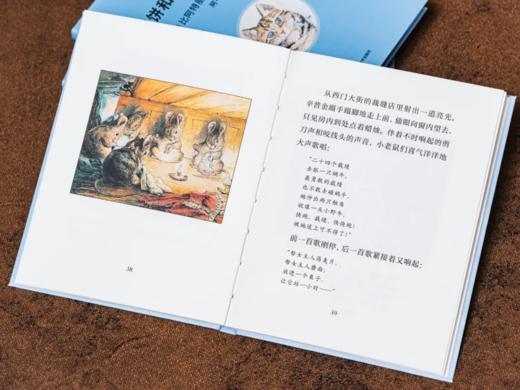 《比得兔™的世界》典藏精装礼盒版 （全23册） 赠礼1：正版比得兔1:1公仔玩偶（尺寸25CM，价值189元） 赠礼2：限量比得兔联名定制书签 商品图4