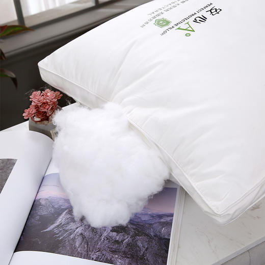 A类抗菌防螨大豆安心枕 商品图3