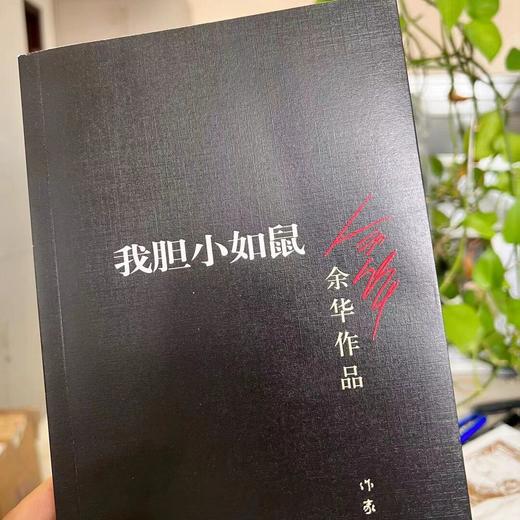 【官方旗舰店】我胆小如鼠  余华成长自述处世法则  活着作者 商品图3