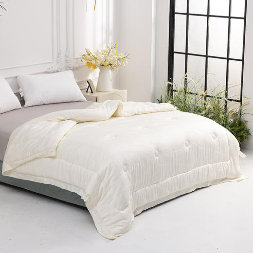 多喜爱 恬梦微醺蚕眠舒柔春秋被/冬被 桑蚕丝被 暖柔搭档蓬松和保暖手感柔软亲肤舒适吸湿透气性好 商品图8