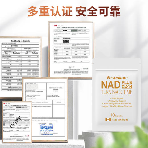 Ensonkan安迅康 加拿大进口PLUS NAD+PQQ复合型补充剂线粒体抗衰前体 便携10粒/包 商品图7