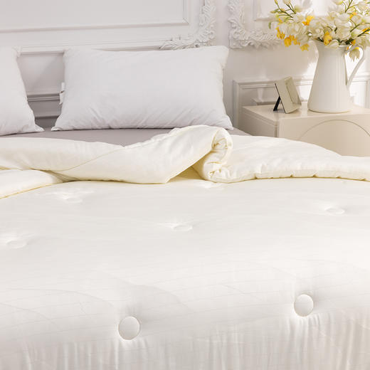 多喜爱 恬梦微醺蚕眠舒柔春秋被/冬被 桑蚕丝被 暖柔搭档蓬松和保暖手感柔软亲肤舒适吸湿透气性好 商品图7