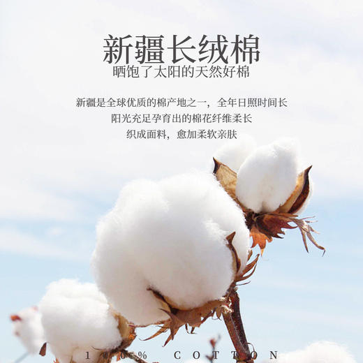 雅芳婷新款高针新疆长绒棉色织六件套床笠款高奢提花纯棉全棉套件 商品图4