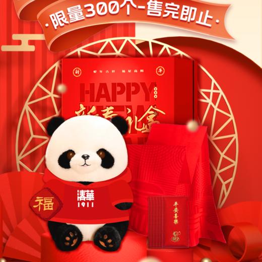 2025新年熊猫礼盒套装 商品图0