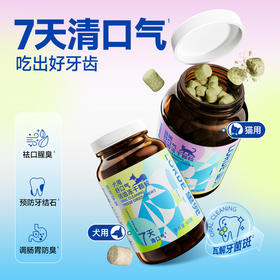 LORDE里兜 猫用犬用口气清新狗除口臭宠物洁齿冻干