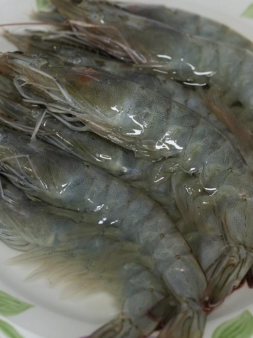 【真正的海捕大虾】青岛大虾 一周内捕捞  新鲜超甜！不同规格可选 商品图6
