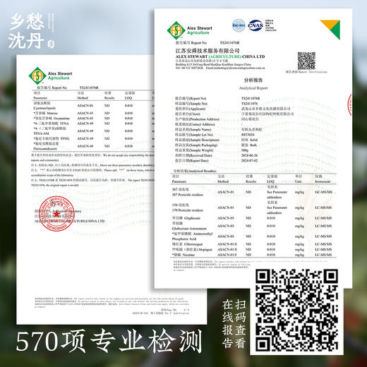 【头茬枸杞•宁夏】特级干果 商品图4