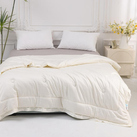 多喜爱 恬梦微醺蚕眠舒柔春秋被/冬被 桑蚕丝被 暖柔搭档蓬松和保暖手感柔软亲肤舒适吸湿透气性好 商品图3