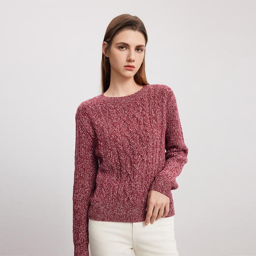 【双色圆领绞花羊绒衫】羊绒世家秋冬新品女士100%山羊绒圆领套头针织衫 商品图2