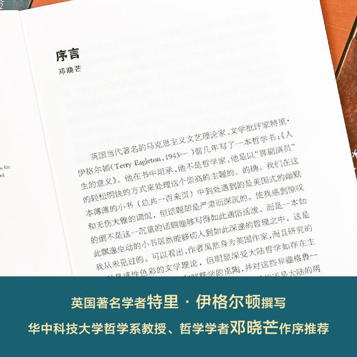 【牛津通识】人生的意义 商品图1