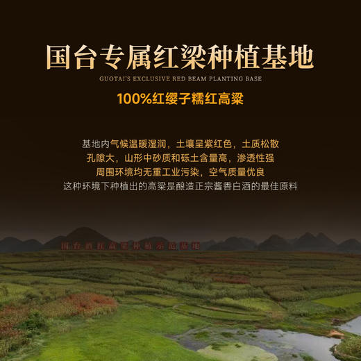 【国台数智化首批产品】国台·秘酱宗藏·御藏 酱香型白酒 53%vol 商品图5