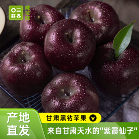 【甘肃黑钻苹果 精品礼盒装】产地直发 果肉饱满细腻 苹果中的“黑珍珠”