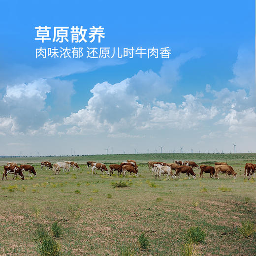 有机原切牛尾骨  500g*2袋 商品图10