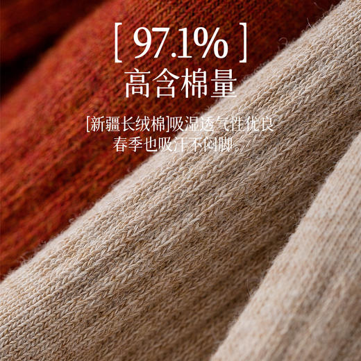 【5双装】女士秋冬长绒棉袜抗起球中筒袜 吸汗排汗透气纯棉无骨袜 商品图3