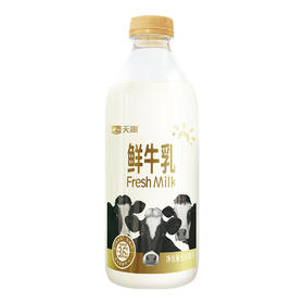 天润 TERUN  3.6g蛋白鲜牛乳 950ml