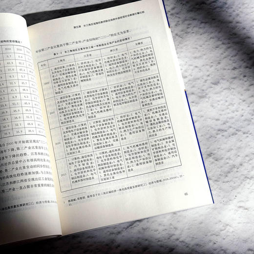 长三角高校青年教师发展研究和培养实务 张斌 高校教师培训 商品图11